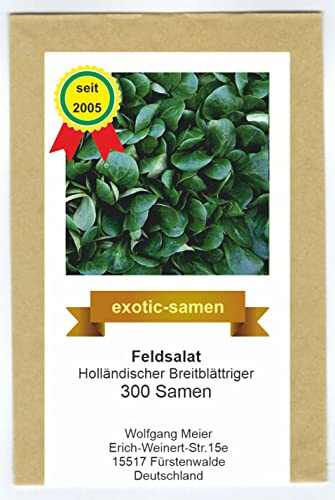Feldsalat - Rapunzel - Holländischer Breitblättriger - ertragreich samenfeste Sorte - 300 Samen