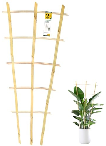 Jollybower 3PCS Fan-Shaped Bamboo Trellis, 2Ft Plant Trellis Indoor, Small Trellis for Potted Plants Indoor, Climbing Plants, Vegetables