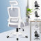 ALFORDSON Ergonomischer Büro-Schreibtischstuhl, Computerstuhl mit dynamischer Lordosenstütze, neigbarer Drehstuhl mit hochklappbarer Armlehne, Weiß und Grau