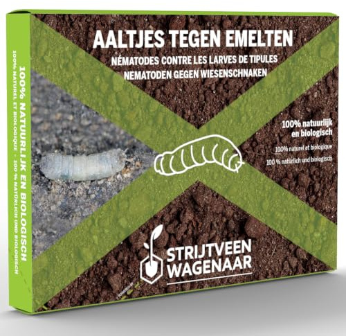 Strijtveen & Wagenaar SC-Nematoden gegen Schnakenlarven - natürliche Bekämpfung von Wiesenschnake Larven im Boden, für einen gesunden Rasen ohne Chemikalien - 125.0 Mio. für 250 m²