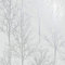Grey Silver Trees Wallpaper Metallic Shine Forest Woods Rhea Zandra Y�L