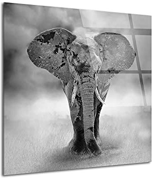 DECLINA Tableau verre acrylique décoration Petit Eléphant, Tableau verre acrylique, impression sur Plexis, 100x100 cm