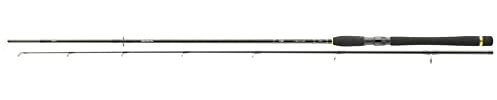 Daiwa Legalis Spin Spinnrute