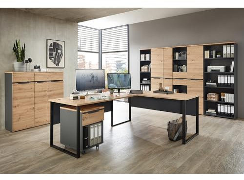 Lomadox Büromöbel Set 9-teilig mit Winkelschreibtisch, 5 Büroschränke 197cm hoch, 2 Büroschränke 122cm hoch, 1 Rollcontainer in Graphit und Eiche