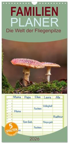 Familienplaner 2026 - Die Welt der Fliegenpilze mit 5 Spalten (Wandkalender, 21 cm x 45 cm), CALVENDO: Fliegenpilze in verschiedenen Perspektiven. (CALVENDO Natur)
