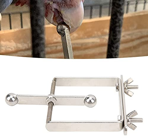 Vogel-Spinning-Papageienspielzeug, Spinner-Papageienbarsch-Kautraining und Verbesserung der Intelligenz aus Edelstahl