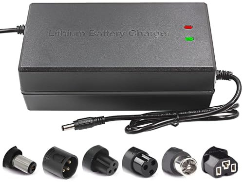 29.4V 42V 54.6V 58.8V 67.2V 84V 96.6V Li-ion battery multi-function charger 2A 5A with cooling fan 24V 36V 48V 51V 60V 72V (54.6V 5A)