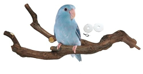 Kathson Natürliche Papageien-Sitzstange Vogelstandstange Wilde Weinreben-Krallpflege-Gabel Sittich Kletter-Äste Spielzeug Kauspielzeug Käfigzubehör für kleine Wellensittiche Nymphensittiche Unzertrenn