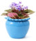 Lovely Ran Afrikanische Veilchen-Töpfe, 16,5 x 11,7 cm, blaue Keramik, einfache Pflanze, selbstbewässernder Topf, blauer Keramik-Blumentopf mit wasserabsorbierendem Innentopf, Orchideen-Pflanzgefäß,
