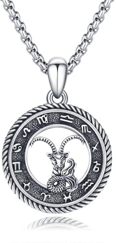 PARYFO Sternzeichen Steinbock Halskette 925 Sterling Silber Steinbock Anhänger Konstellationen Halskette Astrologie Horoskop Anhänger Schmuck Geschenke für Männer Frauen Unisex
