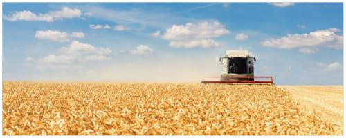 Wallario Poster - Erntezeit auf dem Feld in Premiumqualität, Größe: 50 x 125 cm