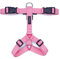 Animal Connection Pettorina ad H per Cani. 5 Punti di Regolazione. Disponibile in 5 Colori. Leggera e Resistente. (S, Rosa)