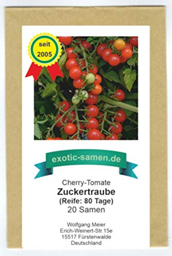 Rote, süße Cherry-Tomate - auch für den Kübel - Zuckertraube - 20 Samen