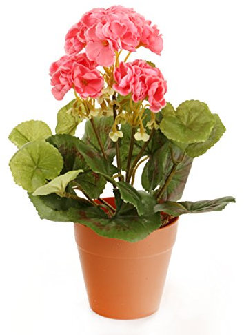 Closer2Nature - Pink Geranium Artificial Plant; 24cm Fake Geranium Plug Plant; Artificial Flowers Perfect as Indoor Plant or Outdoor Plants - Pot Not Included