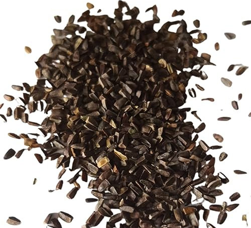 kiskick Mehrjährig Samen,25 Stück Blumensamen Lebendige Gelbe Narzissen Blumenzwiebeln Blumensamen Yard Supplies Saatgut