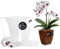LiveLaif®- Maceta orquidea Transparente Rectangular 14x14x15cm + Plato | Maceta Transparente orquidea | Agujeros Drenaje,Efecto Vidrio | Maceta para orquídeas, Hecha en España-Varios Modelos (1, Rect)