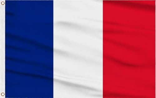 EM Fan-Artikel Flagge – Best of Fanartikel für die Fussball Europameisterschaft 2021 - EM Flagge Fahne (Frankreich)