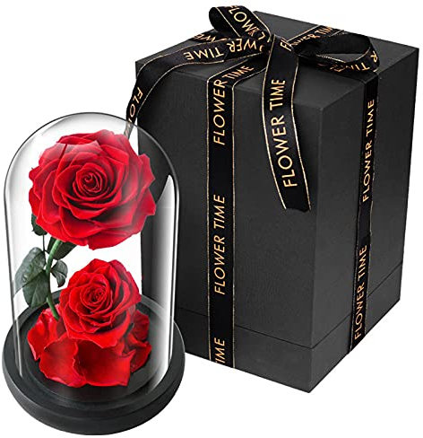 Rosa Eterna, La Bella E La Bestia Rosa, Vera Rosa Stabilizzata in Cupola Di Vetro E Base in Legno Per Anniversario, San Valentino, Compleanno, Fidanzamento, Ringraziamento, Natale