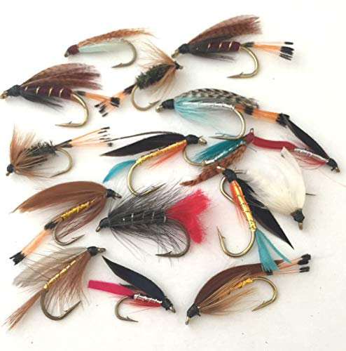 Angeln Fliegen groß Wet Fly Selection Seatrout 16 Fliegen Pack # 20