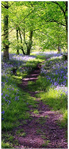 posterdepot Türtapete Türposter Blaues Hasenglöckchen - Größe 93 x 205 cm, 1 Stück, ktt0345