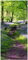 posterdepot Türtapete Türposter Blaues Hasenglöckchen - Größe 93 x 205 cm, 1 Stück, ktt0345