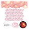 4 x Rosen Lichterkette, 20er LED Lichterkette Batterie, Hochzeit, Verlobung & Valentinstag, warmweiß, Deko, rosa