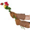 Vgo... 1Paar Gartenarbeitshandschuhe Männer,Sicherheitshandschuhe,Lange Ärmel Stulpe,Pannensicher,Dornensicher,Anti-Rutsch (SL6592)