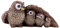 Uqezagpa Figurines familiales de hiboux en résine - Décoration de jardin - Figurines d'animaux en résine - Centre de table pour la vie