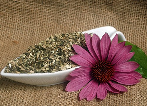 Naturix24 – Sonnenhutkraut Tee, Purpursonnenhutkraut geschnitten – 500 g Beutel