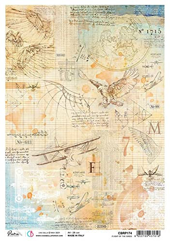 Ciao Bella Rice Paper, Flight of The Birds, Sign of Times, OSFA
