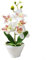 Oniissy Orchidea Artificiale per Decorazione - Piante Indoor White Faux - Fiori di Seta in Vaso