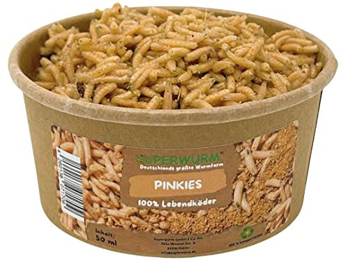 50ml Pinkies | 100% kompostierbare Köderdose - hoch aktive Angelköder - Lebendköder - Pinkies - Maden