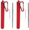 Gigicial Lot de 2 pailles anti-rides pliables en métal en acier inoxydable 304, paille télescopique de voyage pour lèvres avec brosse de nettoyage