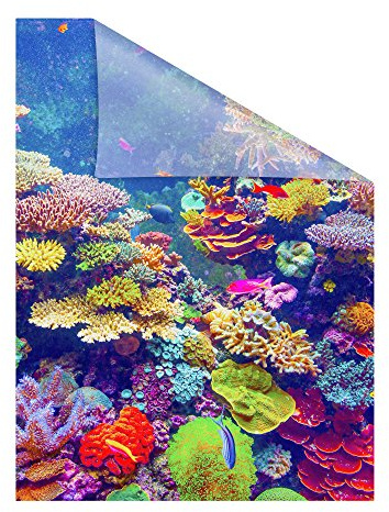 Lichtblick Fensterfolie selbstklebend mit Motiv, Sichtschutz, merhfach Ablösbar, Montage ohne Rakel, Made in Germany Aquarium - Bunt 100 x 100 cm (B x L)