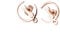 findout Ladies Rose Gold Plated Titanium Steel Classic Simple cat Love You to The Moon Earrings, for Women Girls (f1776)