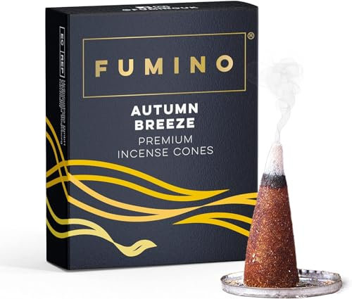 Fumino Räucherkegel mit frischem Duft Herbstbrise – 1 Box à 20 Kegel Masala Agarbatti Räucherkerzen Klein - Duft für Entspannung, Meditation, Linderung bei Stress und Angstzuständen - Dekoration