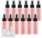 ZEOABSY 24 Pcs Pink 50ml Empty Fine Mist Plastic Spray Bottles Travel Atomiser Bottle Set, Portable Small Refillable Sprayer Bottles with Black Pump Head, 2 Pcs Funnels