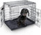 MaxxPet Hundebox Faltbar - Hundekäfig für Zuhause - 2 Türen - Hundetransportbox - Gitterbox Hund - Transportbox Hund & Katze - Faltbarer Schwarzer Metall - 63x44x50 cm - Schwarz