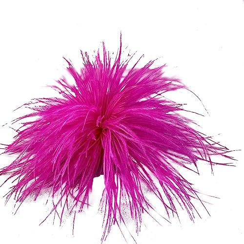 Broche Plume d'Autruche, Asudaro Broche Plume Vintage Femme Plume Accessoire De Chapeau Dames Plume Broche Vêtements Accessoires Costumes Fascinators Pour Halloween Mariage,D:13cm-16cm