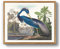 MHARTK66 Vintage Vogel Leinwand Bilder mit Rahmen Holz, 30x40 cm Wandbilder Wohnzimmer Blauer Dreifarbenreiher Bild Aesthetic, Lebensräume Illustration Wanddeko Schlafzimmer Badezimmer Büro