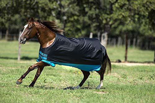 Horseware Amigo Mio Turnout medium 200g - Black with Turquoise& Black, Groesse:85