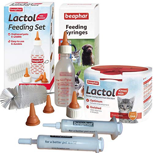 Lactol 250g Kitten Kitty Milk Bottle 2pk Feeding Syringes Whelping Kit
