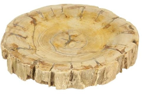 Oriental Galerie Fossil Schale Teller Platte Tischdekoration Geschirr Aschenbecher Naturstein versteinertes Holz poliert Unikat verschedene Formen