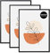KAIWIN 3 Pack Bilderrahmen 50x70 cm, Bilderrahmen Schwarz, Holz Fotorahmen zum Aufhängen mit Poster, Posterrahmen Benutzt für Wohnzimmer, Schlafzimmer, Arbeitszimmer | Für Fotos, Poster, Puzzles