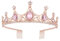 Vofler Roségold Tiara Krone mit rosa Kristall - Barock Vintage Grün Strass Stirnband für Frauen Königin Dame Mädchen Braut Prinzessin Geburtstag Hochzeit Festzug Halloween Kostüm Party mit Kamm