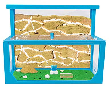 AntHouse - Natürliche Ameisenfarm aus Sand 3D | Modell L (Sandwich + Futterbox) Blau | Inklusive Ameisenkolonie