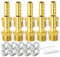 TAILONZ PNEUMATIC Racor de latón para manguera - Adaptador de 8 mm a 1/4 pulg macho（Paquete de 10）