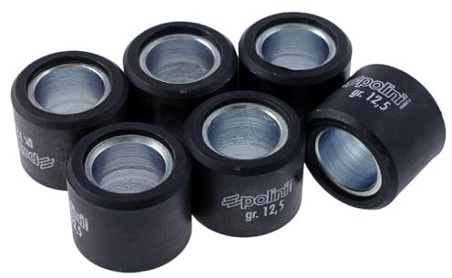 Variomatikgewichte POLINI 20x17mm - 12,5g