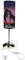 CreaDesign TI-1033 Pferd Nachttischlampe Kinderzimmer mit Namen, Kinder Tischlampe/Schlummerlicht mit Schalter für Steckdose, E14, 38 cm hoch