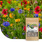 Bienen- und Hummelmischung ein- und mehrjährig | 250g - 125m2 | Wuchshöhe: 20 bis 80 cm | Blumensamen für Hummeln, Wildbienen und Honigbienen | Für eine bunte, ökologische Bienenoase | Wildblumensamen